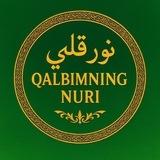 QALBIM NURI