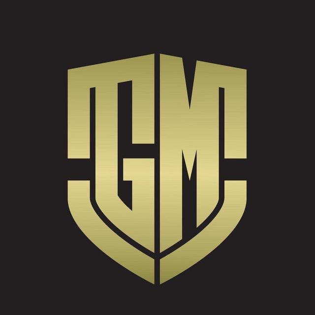 盛泰GM
