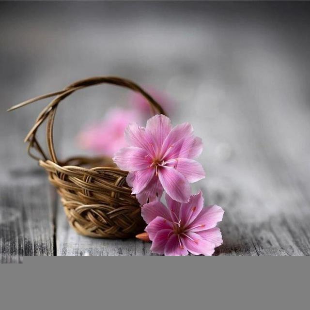 🌱 جَمِيل الأَثَر