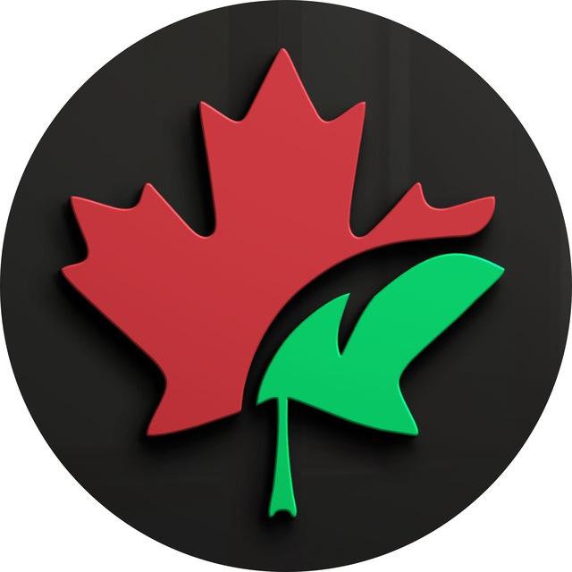 CarMaple | Авто из Китая, Кореи и Японии