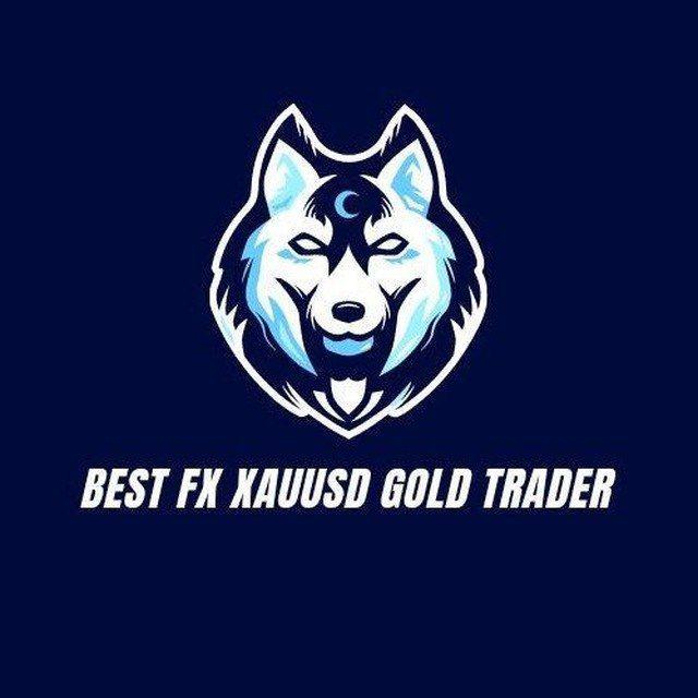 BEST FX XAUUSD GOLD TRADER