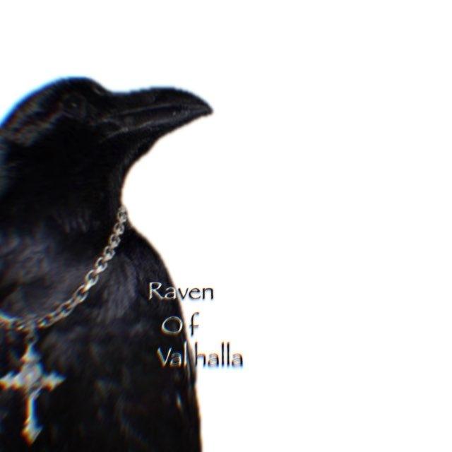 RAVEN EGO