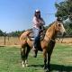 Horses for Sale And Adoption in Texas 🦄🦄🦄