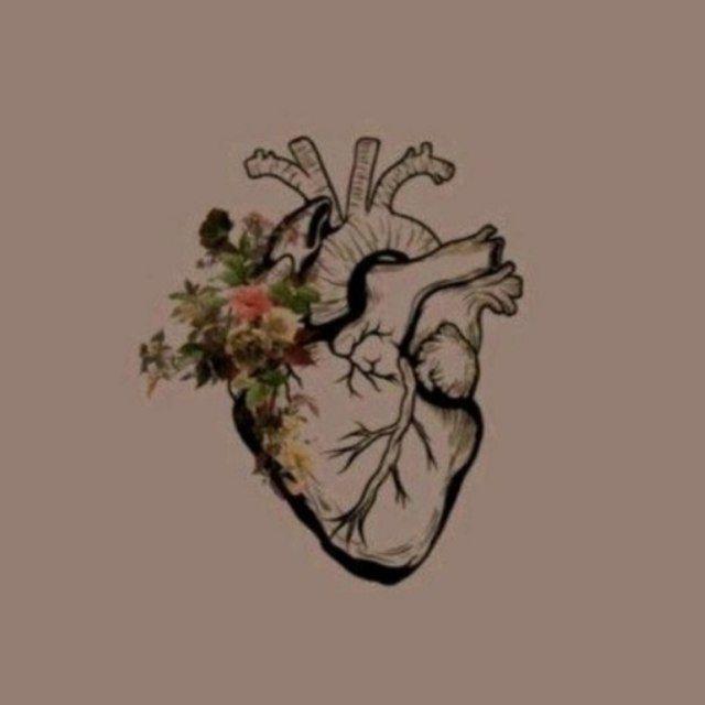 - قرآن 🦋.