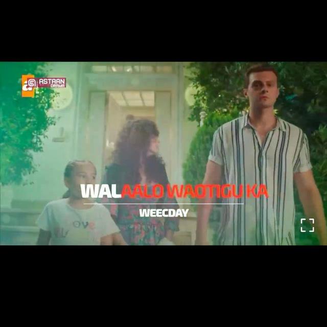 Musalsalka Walaalaha 🇹🇷