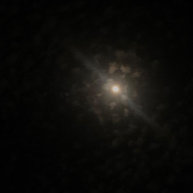 the sun