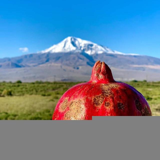 Армянский национальный канал 🍇