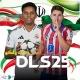 DLS | خدمات
