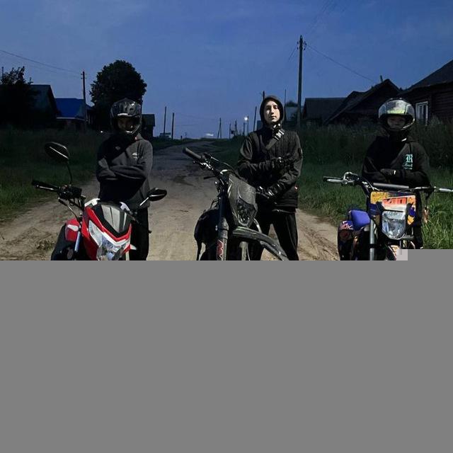 Тарашнур Движ