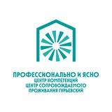 Профессионально и ясно