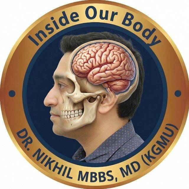 Inside Our Body