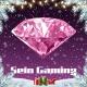 Sein Gaming