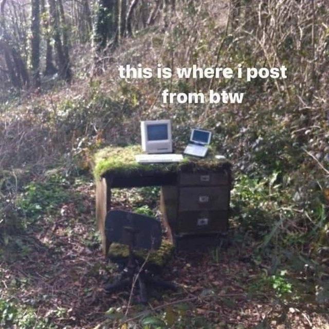 Alynthum's Nest