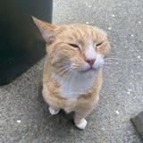 sites without 3-D Secure