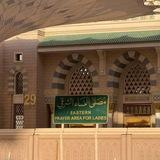 طُـويلبة عِلم.