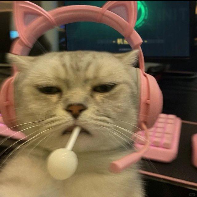 Mood Playlist