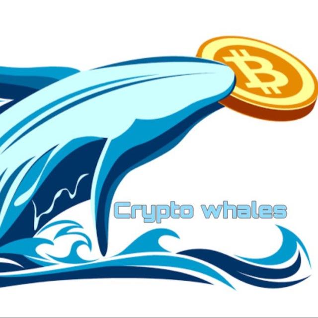 Crypto whale 🐋