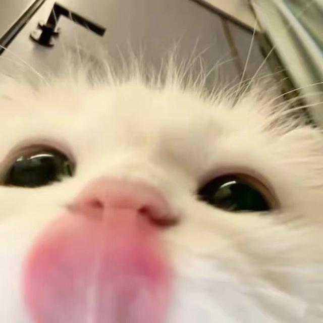ᴡɪʟʟ.ɴᴏᴛ.ʙᴇ