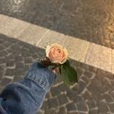 لـ فطومة