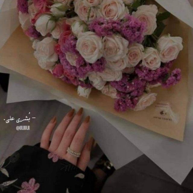- بُشرى ᷂علِي .