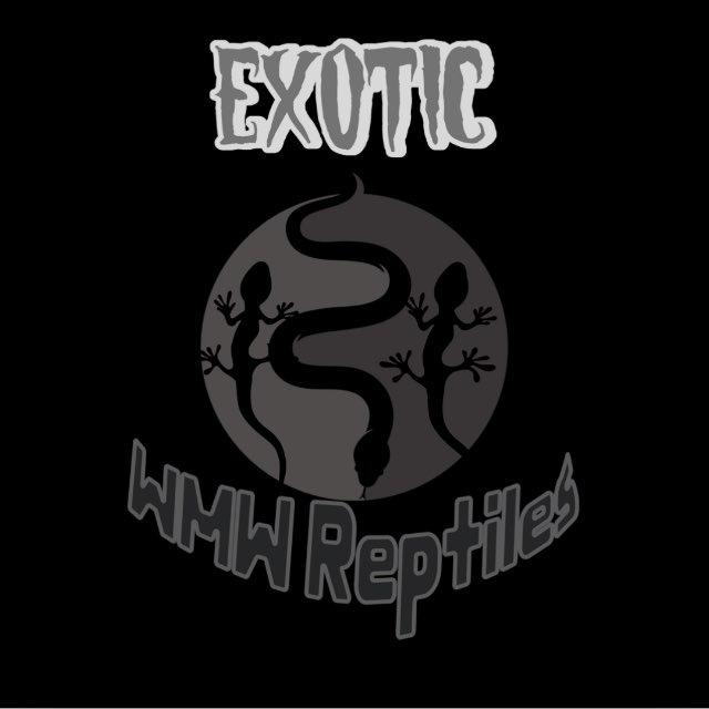 WMW reptiles⚡🐍🦎