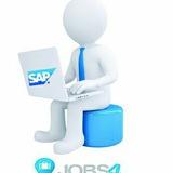 Jobs4 - {SAP MM / WM / LES - Support}