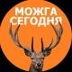 Можга сегодня
