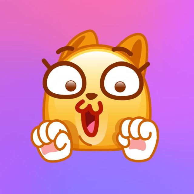 Offerte Animali cani gatti