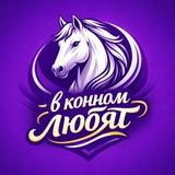 В конном любят🫶🏻
