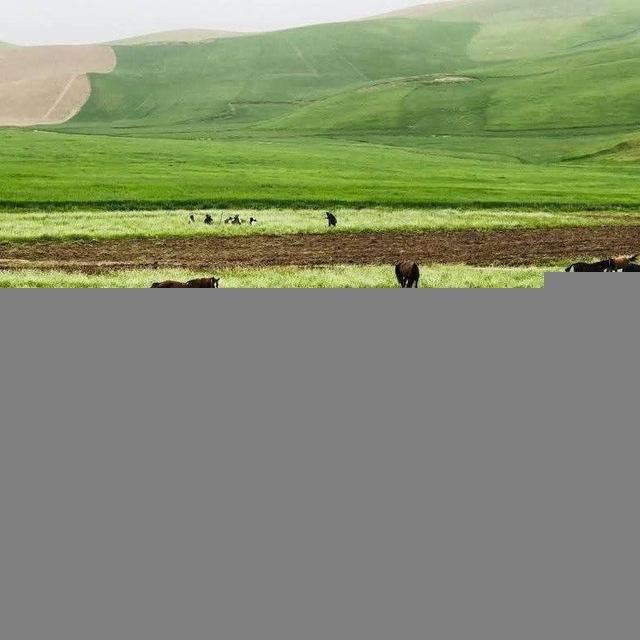 مزارشریف و مناطق دیدنی جهان
