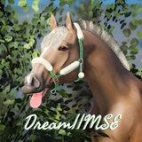 Dream||S.T.W 17+