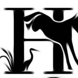 horses_travel