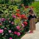 :" ستوريات ،🤍🌷