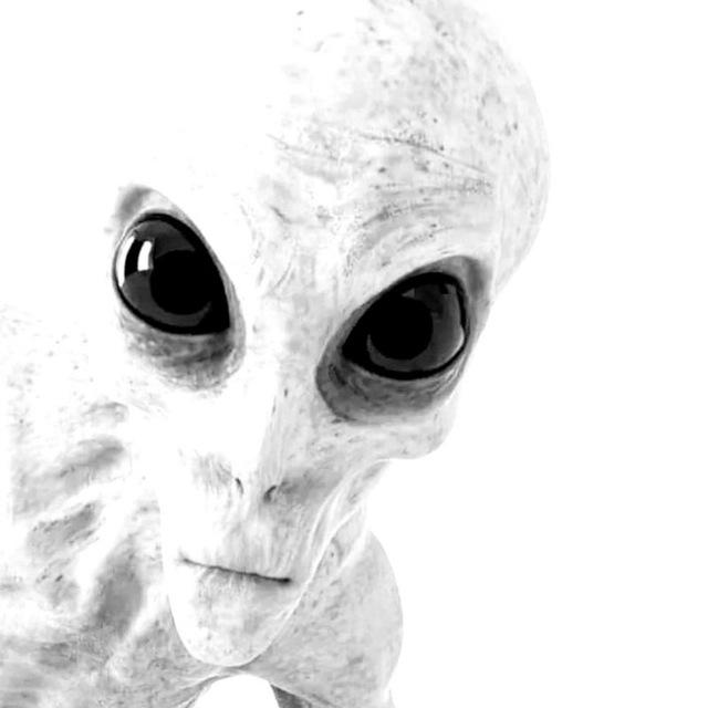 Ateivių Invazija 2025 🖕👽🖕