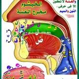 📚 مفتاح الإتقان في تجويد القرآن الكريم 📚