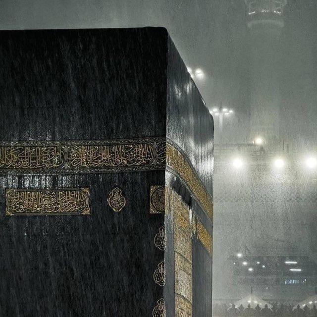 ﴿وَذَكِّرْ﴾.