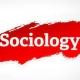 UPSC Sociology Optional Notes