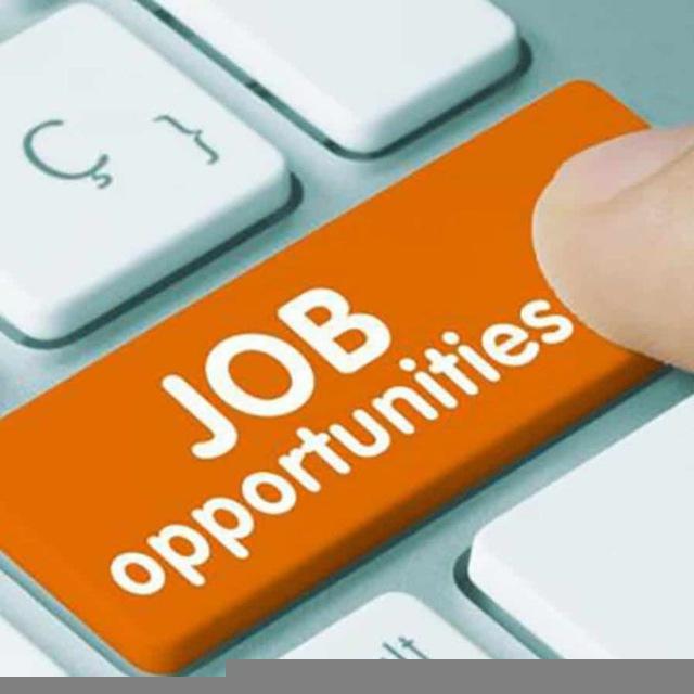 Jobs in skill & Others