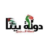 دولة بيتا
