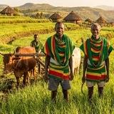 Ethio Agrochemicals