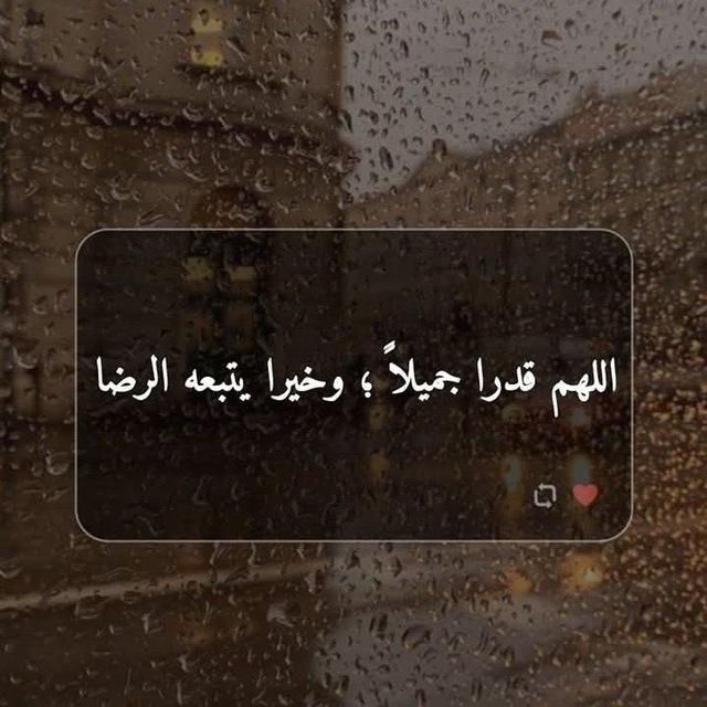 خواطر مجاهد 🌸