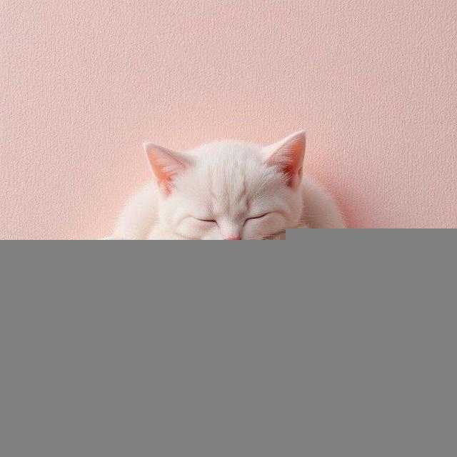 😻 ~I LOVE CATS~ 😻