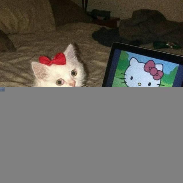 disappointment