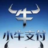 小牛支付总供需