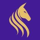 VPN-Unicorn🦄