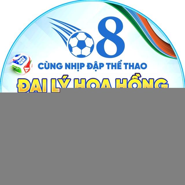 o8 - HỢP TÁC ĐẠI LÝ HOA HỒNG 80%