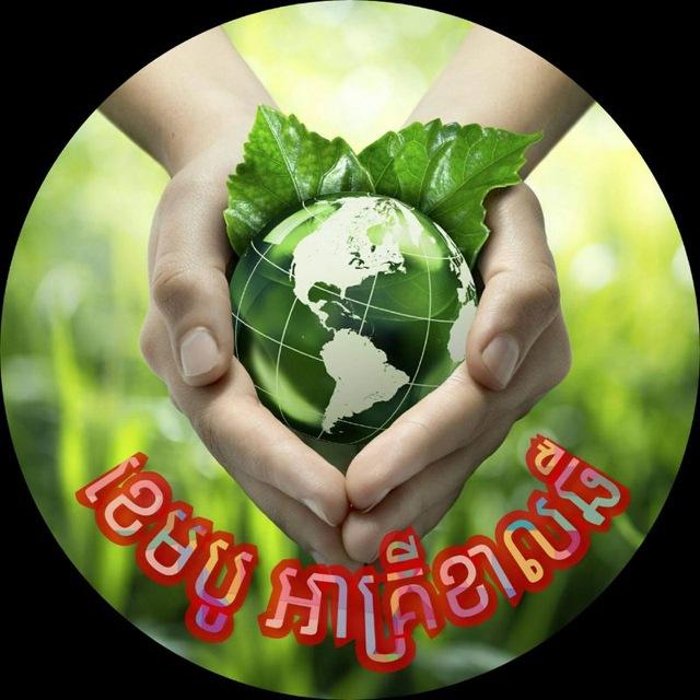 Cambo Agriculture