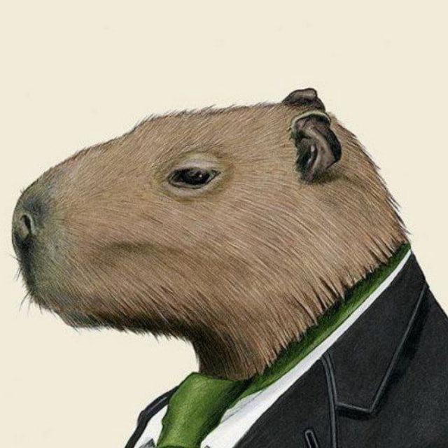 CapyCrypto