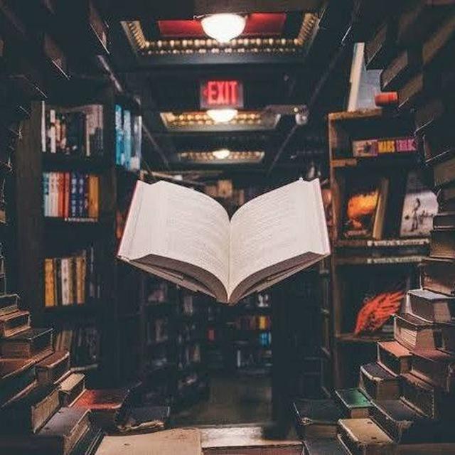 Story Books ( Hindi & English )