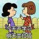 今天不学习